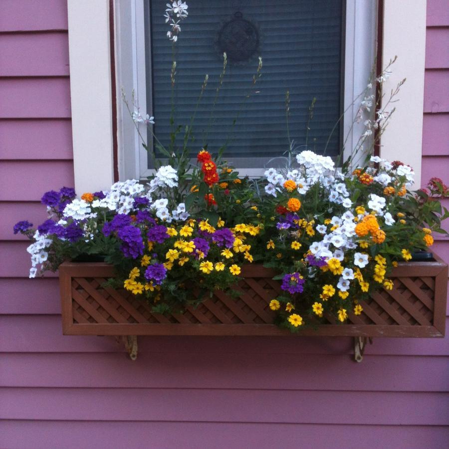 Rose & Thistle Bed & Breakfast Cooperstown Exterior photo
