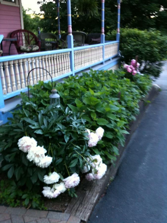 Rose & Thistle Bed & Breakfast Cooperstown Exterior photo